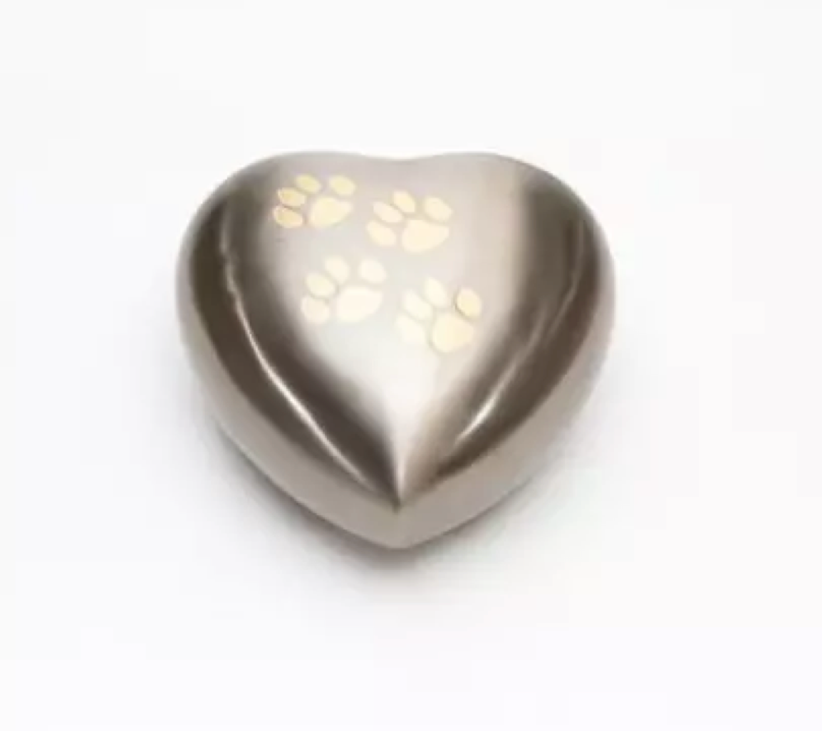 Heart Vessel