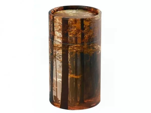 Scatter Tube