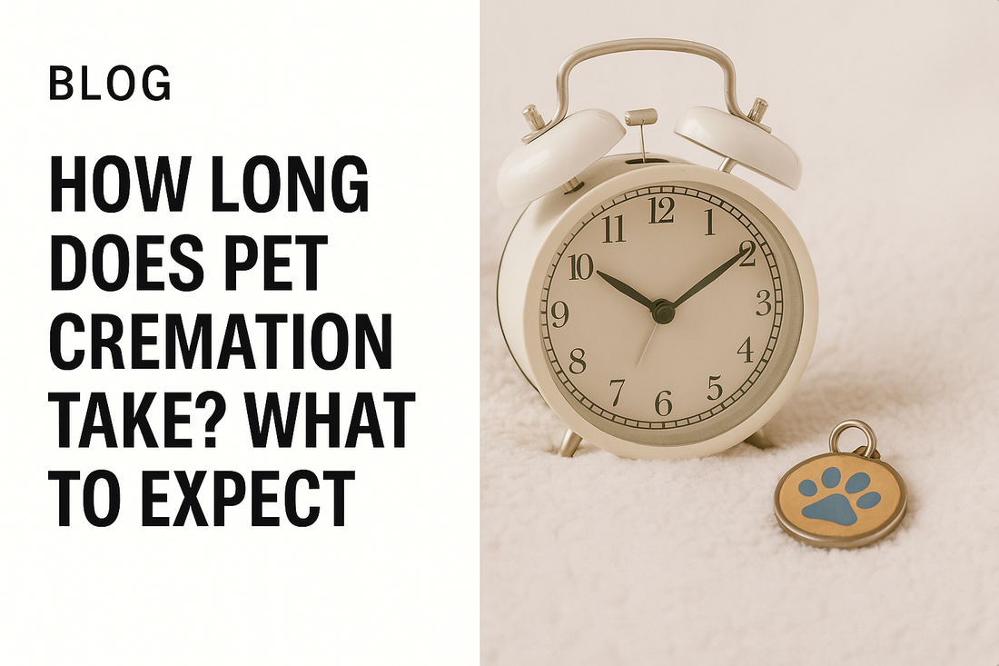 How Long Does Pet Cremation Take? What to Expect
              