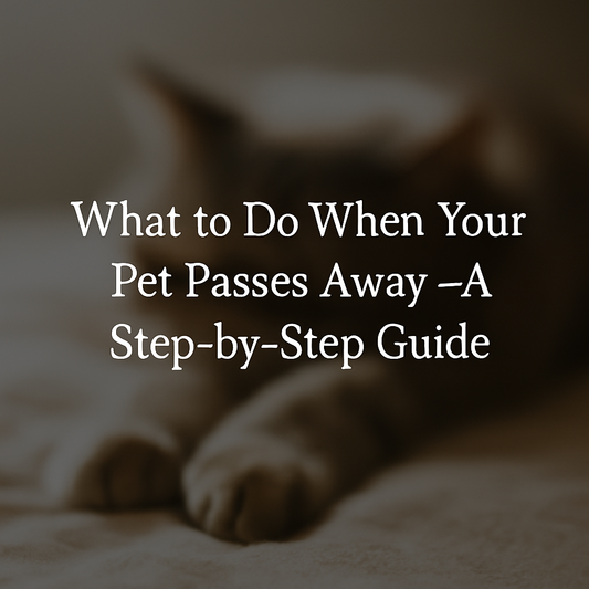 what to do when pet passes
