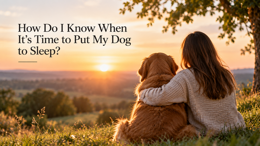 How Do I Know When It's Time to Put My Dog to Sleep?