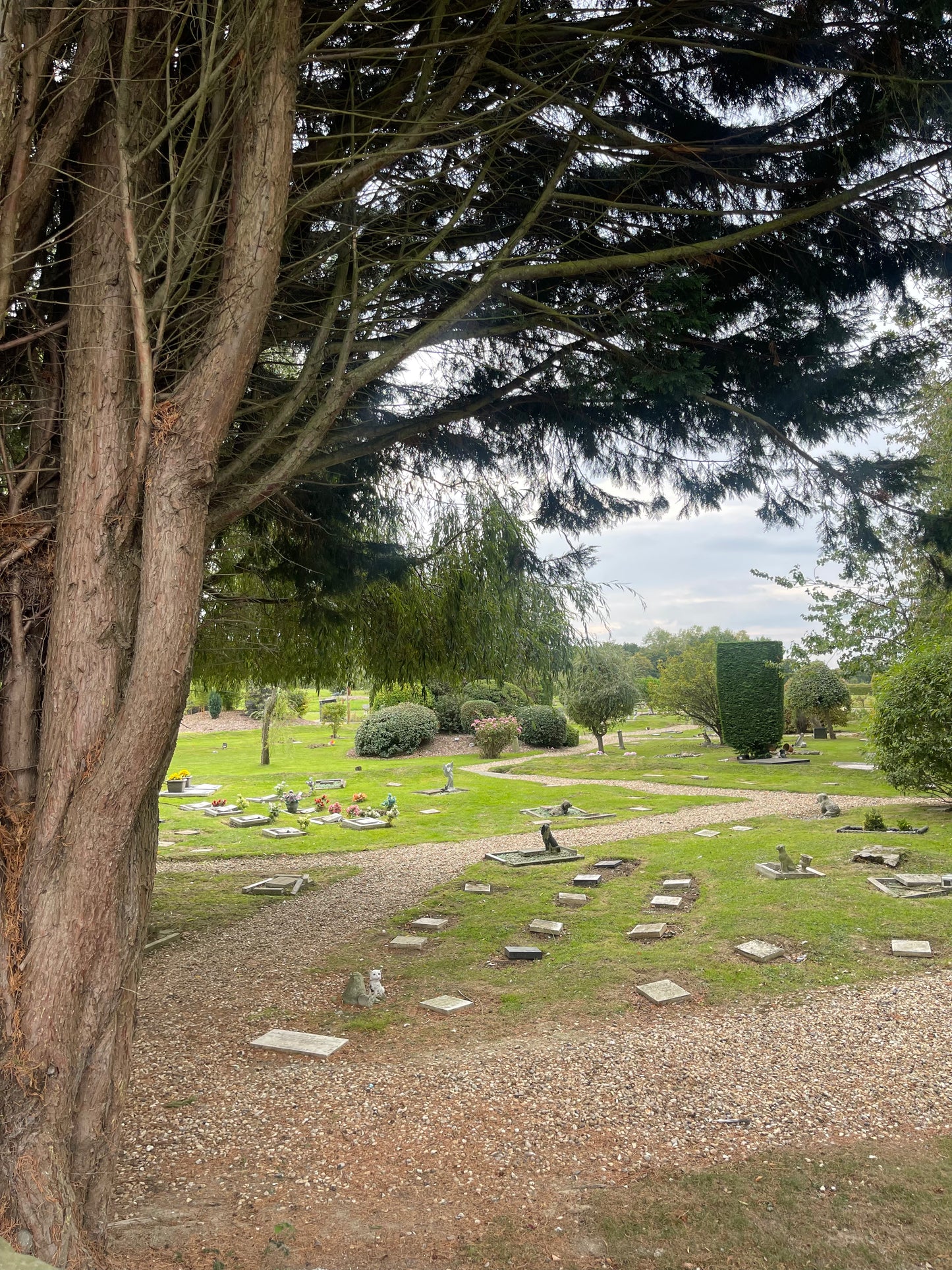 PCS Transport / Burial Service