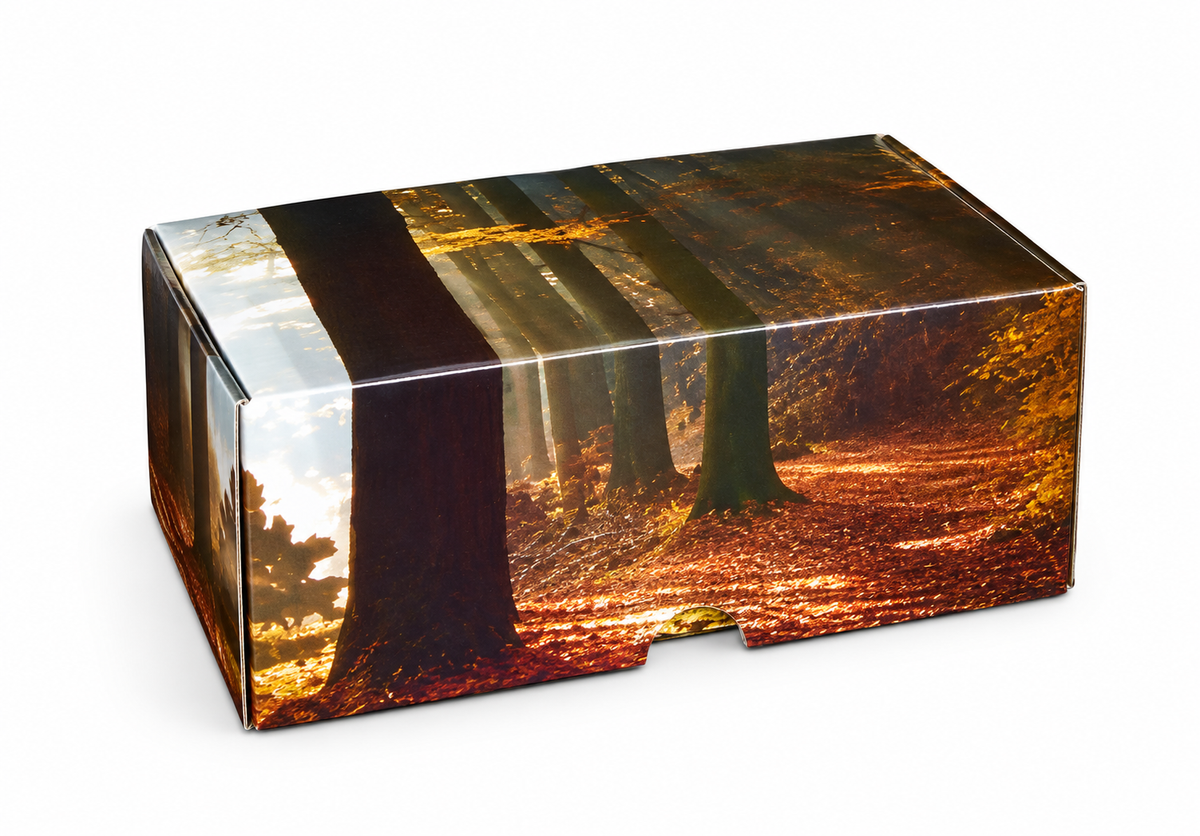 Scatter Box - woodland design